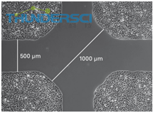 QQ&aring;?&frac34;&ccedil;??20190318145016 &aring;?&sup1;&aring;?&raquo;&aelig;??&auml;&raquo;&para;3&aring;&shy;? 4&aring;&shy;?-2.png