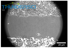 &auml;&frac14;&curren;&aring;?&pound;&aelig;??&aring;??